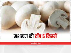 Mushroom Farming: भारत में सबसे ज्यादा फेमस हैं मशरूम की ये 5 किस्में, जानें इनकी खासियत