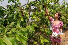 Actress Pooja hedge: பூப்பறிக்க நீயும் போகாதே...நடிகை பூஜா ஹெக்டே போட்டோஸ் !