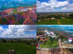 In Photos: अंबिकापुर का ऑक्सजीन पार्क बना पर्यटकों का अड्डा, तस्वीर में देखें इसकी खूबसूरती