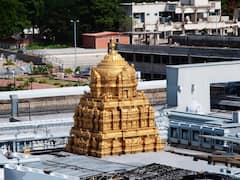Tirumala Updates: తిరుమలలో కాస్త తగ్గిన భక్తుల రద్దీ - నిన్న హుండీ ఆదాయం, దర్శనానికి పడుతున్న టైం ఎంతంటే
