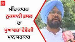 ਮੀਂਹ ਕਾਰਨ ਨੁਕਸਾਨੀ ਫ਼ਸਲ ਦਾ ਮੁਆਵਜ਼ਾ ਦੇਵੇਗੀ ਮਾਨ ਸਰਕਾਰ