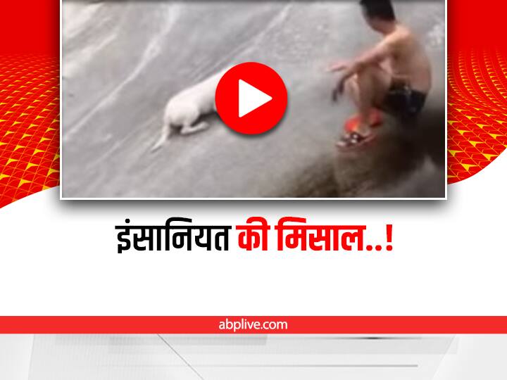 man jumps off from the mountain to save dogs life social media viral video Viral Video: पहाड़ के पत्थर से फिसलने लगा कुत्ता, बचाने के लिए शख्स ने लगाई छलांग