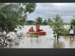 Gadchiroli Rain Updates : गडचिरोलीत पूरस्थिती कायम; आतापर्यंत कोणत्या तालुक्यात, किती नुकसान?