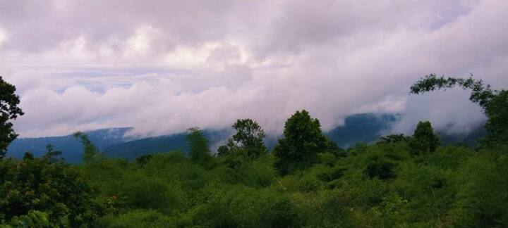 नए साल और क्रिसमस पर शहरवासी ऑक्सीजन पार्क पर ही सेलीब्रेट करना ज्यादा पसंद करतें है. यही वजह हैं कि सर्दी के समय यहां हर दिन हजारों लोग पहुंचते है.