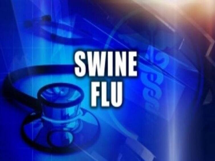 15 students of Ashram School of Palghar infected with swine flu Palghar :  पालघरमधील आश्रम शाळेतील 15 विद्यार्थ्यांना स्वाईन फ्लूची लागन, उपचारानंतर प्रकृती स्थिर 