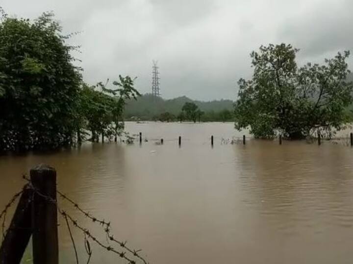 Maharashtra Flood situation remains grim as heavy rainfall continue in parts of wardha Gadchiroli Maharashtra Rain: लगातार बारिश के कारण वर्धा के कुछ हिस्सों में बाढ़ की स्थिति गंभीर, गढ़चिरौली में भारी भू-भाग हुआ जलमग्न