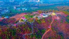 In Photos: अंबिकापुर का ऑक्सजीन पार्क बना पर्यटकों का अड्डा, तस्वीर में देखें इसकी खूबसूरती