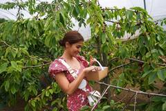 Actress Pooja hedge: பூப்பறிக்க நீயும் போகாதே...நடிகை பூஜா ஹெக்டே போட்டோஸ் !