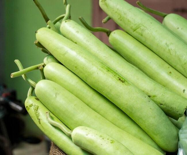 ਇੱਕ ਹੋਰ ਸਿਹਤਮੰਦ ਸਬਜ਼ੀ ਜੋ ਵਰਤ ਦੇ ਦੌਰਾਨ ਖਾਧੀ ਜਾ ਸਕਦੀ ਹੈ ਲੌਕੀ। ਸਬਜ਼ੀਆਂ ਤੋਂ ਇਲਾਵਾ ਇਸ ਤੋਂ ਜੂਸ, ਸੂਪ ਵੀ ਬਣਾਇਆ ਜਾ ਸਕਦਾ ਹੈ। ਲੌਕੀ ਦੇ ਜੂਸ ਵਿੱਚ ਬਹੁਤ ਸਾਰੇ ਪੌਸ਼ਟਿਕ ਤੱਤ ਹੁੰਦੇ ਹਨ।