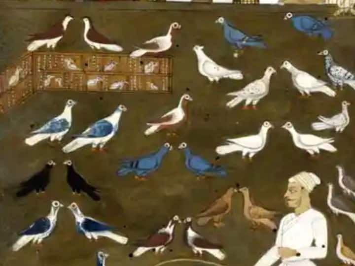 Kabootarbazi word where it came from know the meaning of it how it is different from Daler Mehndi Case General knowledge: कहां से आया कबूतरबाजी शब्द? क्या हैं इसके मायने और क्यों दलेर मेंहदी हैं इसकी गिरफ्त में