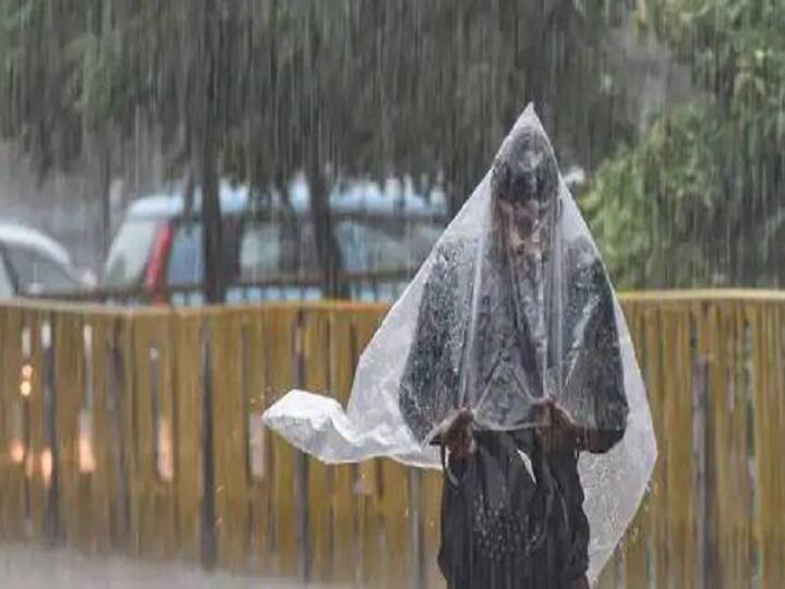 Uttarakhand Weather Update 20 July Red Alert for Heavy Rain in Dehradun Tehri Pauri Nainital Champawat Udham Singh Nagar Haridwar Bageshwar and Pithoragarh Uttarakhand Weather Update Today: उत्तराखंड के इन जिलों में आज बारिश बरपा सकती है कहर, रेड अलर्ट जारी, जानें- कल कैसा रहेगा मौसम