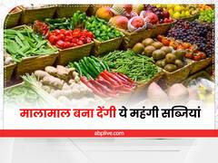 Expensive Vegetables Farming: हजारों की कीमत में बिकती हैं भारत की ये 5 महंगी सब्जियां, इन्हें उगाकर अमीर बन जायेंगे छोटे किसान