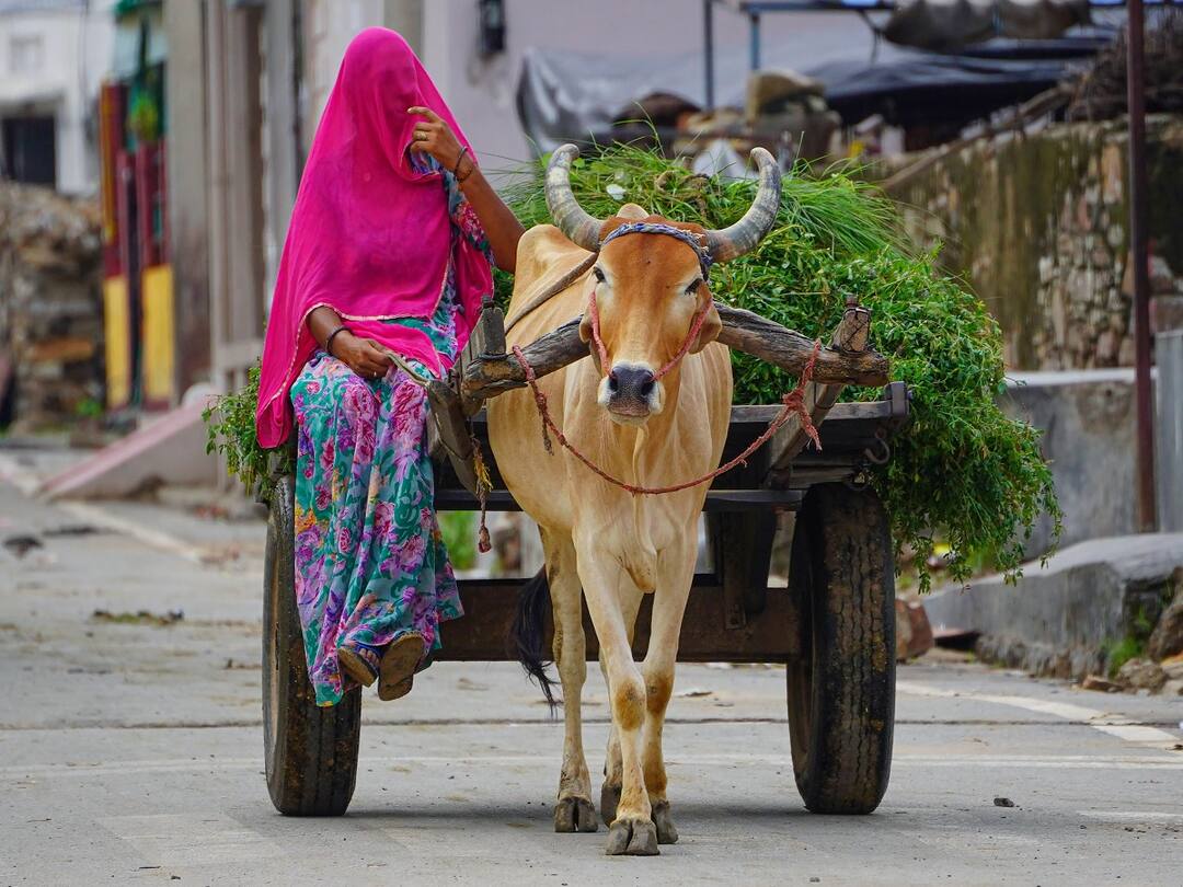 Iffco Indian Farmers Fertilizer Cooperative launched mobile agriculture app Iffco Kisan App: ખેતીવાડીની સમસ્યા મિનિટોમાં ઉકેલશે આ મોબાઈલ એપ, ખુદ કૃષિ વૈજ્ઞાનિકો આપશે માર્ગદર્શન