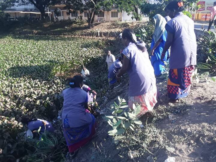 திருவாரூர்: ஆகாயத் தாமரை சுத்தம் செய்யும் பணிக்கு தூய்மை பணியாளர்கள் - சிஐடியு சங்கம் எதிர்ப்பு sanitation workers in claening airspace திருவாரூர்: ஆகாயத் தாமரை சுத்தம் செய்யும் பணிக்கு தூய்மை பணியாளர்கள் - சிஐடியு சங்கம் எதிர்ப்பு