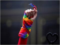 America: समलैंगिक विवाह को मान्यता देने वाला बिल निचले सदन में हुआ पास, लेकिन सीनेट में हो सकती है ये दिक्कत