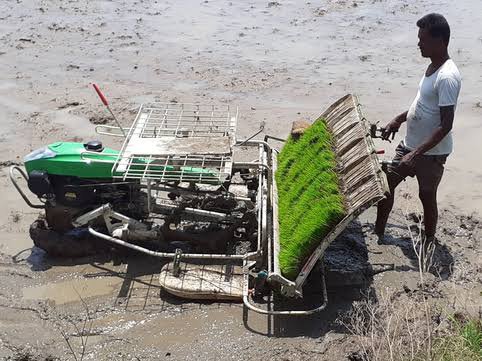 Crop Insurance: தமிழக அரசின் மௌனம்; டெல்டா விவசாயிகள் மனதில் கலக்கம் - குறுவைக்கு பயிர் காப்பீடு இருக்கா? இல்லையா?