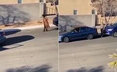 Funny Video: ਕਾਰ ਪਾਰਕ ਕਰਨ ਲਈ ਕੁੜੀ ਨੇ ਵਰਤਾਇਆ ਅਜਿਹਾ ਦਿਮਾਗ, ਵੀਡੀਓ ਦੇਖ ਕੇ ਹੋ ਜਾਵੋਗੇ ਹੈਰਾਨ