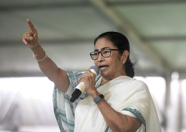 TMC Shahid Diwas 2022: special message from Mamata Banerjee before 21 July TMC Martyr Day 2022: ২১ জুলাইয়ের আগে বিশেষ বার্তা মমতার, কাদের বার্তা?