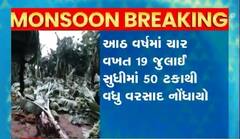 ભારે વરસાદ થી આઠ જિલ્લાના 38 તાલુકામાં પાકને નુકસાન, 120 ટીમોએ પાક નુકસાનીનો સર્વે પુર્ણ કર્યો