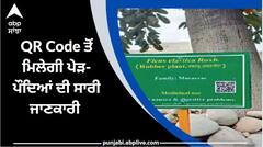 ਕਿਊਆਰ ਕੋਡ ਤੋਂ ਮਿਲੇਗੀ ਪੇੜ-ਪੌਦਿਆਂ ਦੀ ਸਾਰੀ ਜਾਣਕਾਰੀ, ਜੀਐਨਡੀਯੂ ਅਜਿਹਾ ਕਰਨ ਵਾਲੀ ਬਣੀ ਦੇਸ਼ ਦੀ ਪਹਿਲੀ ਯੂਨੀਵਰਸਿਟੀ