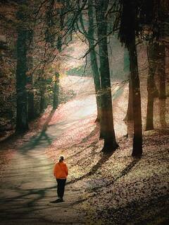 Walking Health Effects : ਹਰ ਰੋਜ਼ ਸੈਰ ਕਰਨ ਨਾਲ ਮੋਟਾਪਾ, ਛਾਤੀ ਦੇ ਕੈਂਸਰ ਸਮੇਤ ਕਈ ਬਿਮਾਰੀਆਂ ਦਾ ਖ਼ਤਰਾ ਹੋ ਜਾਂਦਾ ਹੈ ਘੱਟ, ਜਾਣੋ ਹੋਰ ਫਾਇਦੇ