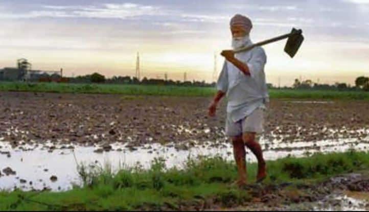 Rain in Punjab : Rain again in Punjab today , Relief from heat and humus, Farmers fear floods again Rain in Punjab: ਪੰਜਾਬ 'ਚ ਅੱਜ ਫਿਰ ਵਰ੍ਹਿਆ ਮੀਂਹ, ਗਰਮੀ ਤੇ ਹੁੰਮਸ ਤੋਂ ਰਾਹਤ, ਕਿਸਾਨਾਂ ਨੂੰ ਮੁੜ ਹੜ੍ਹਾਂ ਦਾ ਡਰ