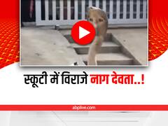 Shocking: स्कूटी के हैंडल से अचानक निकला सांप, वीडियो देख कांप जाएगी रूह