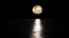 International Moon Day: এই দিনেই চাঁদের মাটিতে পা, স্মরণে রাখতে পালিত আন্তর্জাতিক চাঁদ দিবস