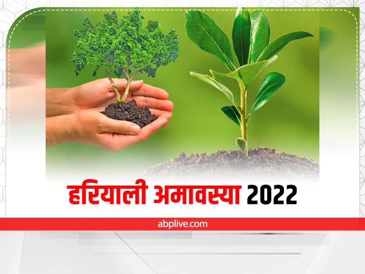 Hariyali Amavasya 2022: हरियाली अमावस्या पर इस पेड़ की पूजा से दूर करें शनि दोष, इन वृक्षों की पूजा से मिलेगा लाभ