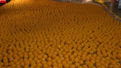 Presidential Election Results: द्रौपदी मुर्मू के गृह-नगर मयूरभंज में तैयारियां शुरू, बीस हजार लड्डू तैयार किए गए