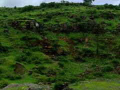 Chhindwara News: बंद खदान से कोयला निकालने गए दो लोगों की मौत, जहरीली गैस का रिसाव होने से हुआ हादसा