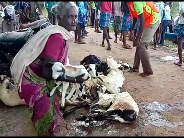 Old woman dies after boat overturns in Kollidam river! சீர்காழி: கொள்ளிடம் ஆற்றின் நடுதிட்டில் சிக்கிய தாய், மகன் -  மீட்பு முயற்சியில் தாய் பலியான சோகம்