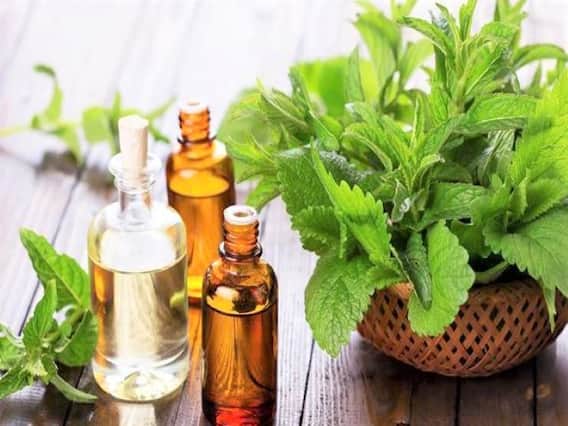 Mentha Oil Price: मेंथा ऑयल में गिरावट, 1006 रुपये/किलो पर कर रहा कारोबार, बढ़ सकते है दाम Mentha Oil Price: मेंथा ऑयल में गिरावट, 1006 रुपये/किलो पर कर रहा कारोबार, बढ़ सकते है दाम
