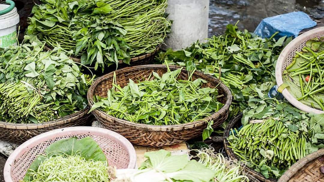 Water Spinach: কেন প্রতিদিন খাওয়া দরকার কলমি শাক? জানুন এর উপকারিতাগুলি Benefits Of Water Spinach For Skin, Hair, And Health Water Spinach: কেন প্রতিদিন খাওয়া দরকার কলমি শাক? জানুন এর উপকারিতাগুলি
