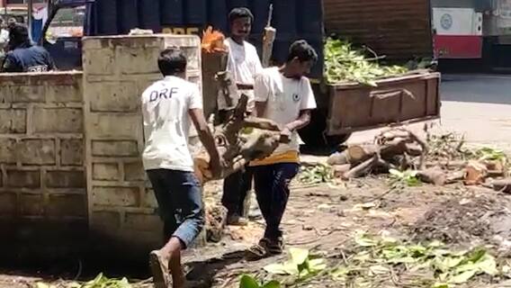 Punjagutta ACP Office : పోలీసు కార్యాలయంలోనే హరిత హారం గోవిందా | ABP Desam