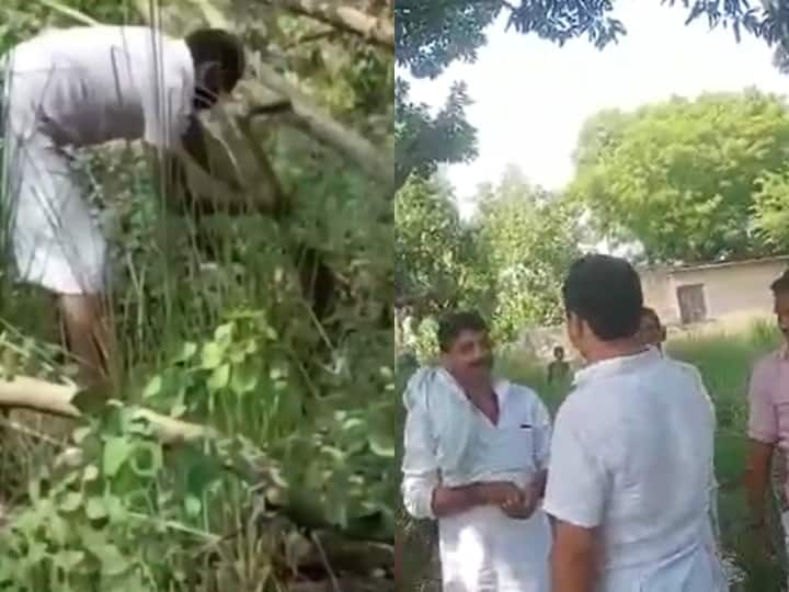 Ghazipur Saidpur Vikrampur Village Head ignoring CM Yogi Adityanath plantation plan and cut hundreds of green trees ann Ghazipur News: CM योगी की वृक्षारोपण योजना को ग्राम प्रधान पति दिखा रहे ठेंगा, काट डाले सैकड़ों हरे पेड़