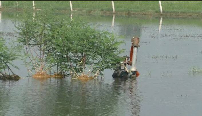 Rain in Punjab : Crops in two lakh acres have been submerged , Punjab Government has ordered its Maintenance Rain in Punjab : ਪੰਜਾਬ 'ਚ ਕਹਿਰ ਬਣ ਵਰ੍ਹਿਆ ਮੀਂਹ, ਦੋ ਲੱਖ ਏਕੜ ਰਕਬੇ 'ਚ ਫਸਲਾਂ ਡੁੱਬੀਆਂ