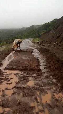 Satara : सलाम! प्रशासनाची वाट न बघता साताऱ्यातील आजोबांनी दरड हटवून रस्ता मोकळा केला