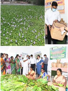 ஆகாயத்தாமரையில் இருந்து வீட்டு உபயோக பொருட்கள் - தூத்துக்குடி மகளிர் குழுவின் சாதனை