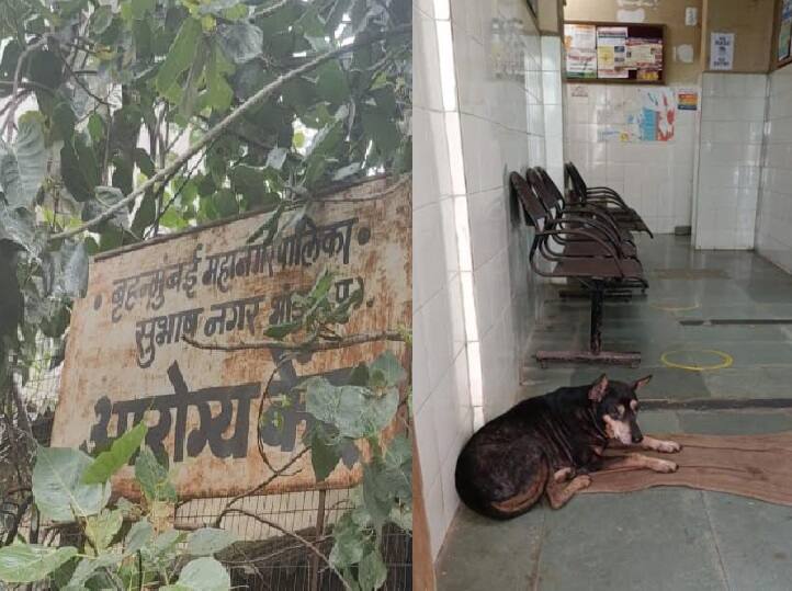 Mumbai : श्रीमंत मुंबईत प्राथमिक आरोग्य केंद्राच्या सुविधांची प्रचंड दुरावस्था का? Mumbai Health center Of BMC Bad Condition AAP Investigation Report Exclusive Mumbai : श्रीमंत मुंबईत प्राथमिक आरोग्य केंद्राच्या सुविधांची प्रचंड दुरावस्था का?