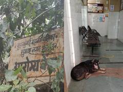 Mumbai : श्रीमंत मुंबईत प्राथमिक आरोग्य केंद्राच्या सुविधांची प्रचंड दुरावस्था का?