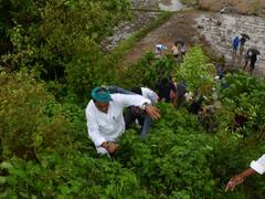 Nizamabad Floods: రైతుల్ని నట్టేట్లో ముంచిన వర్షాలు! మొత్తం మురిగిపోయిన సోయా పంట, రూ.60 కోట్ల నష్టం