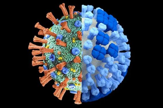 Flu And Covid-19 : ਮੌਨਸੂਨ ਫਲੂ ਅਤੇ ਕੋਵਿਡ-19 ਦੇ ਲੱਛਣਾਂ 'ਚ ਕੀ ਹੈ ਫਰਕ, ਇਸ ਤਰ੍ਹਾਂ ਸਮਝੋ ਅੰਤਰ