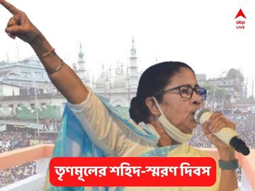 TMC Shahid Diwas 2022: রাজনীতিতে সৈনিক থেকে জননেত্রী হয়ে ওঠা মমতার, তিন দশক পরও শহরে একুশ আবেগ