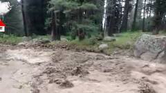 Monsoon 2022: From mountains to plains, nature's wrath affects all | ABP news