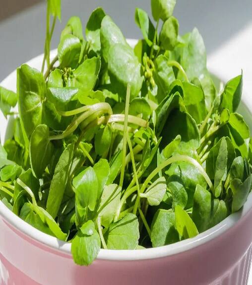 લીલા પાનવાળા શાકને ડાયટમાં કરો સામેલ, લીલા શાકમાં ન્યુટ્રિશન અને વિટામિન સી ભરપુર માત્રામાં હોય છે. જે આંખોની ક્ષમતાને વધારે છે.