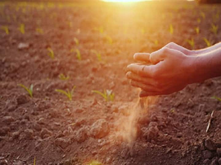 Know the easy remedies to maintain and reconstruct soil health power Soil Health: खेत में मिट्टी खो चुकी हैं अपनी शक्ति, इन तरीकों से मिट्टी में वापस भर जायेगी जान
