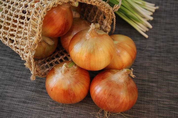 कांद्यामध्ये असणारे सॉल्यूबल फाइबर हे क्रेविंग कमी करते. त्यामुळे तुमचे वजन वाढणार नाही.