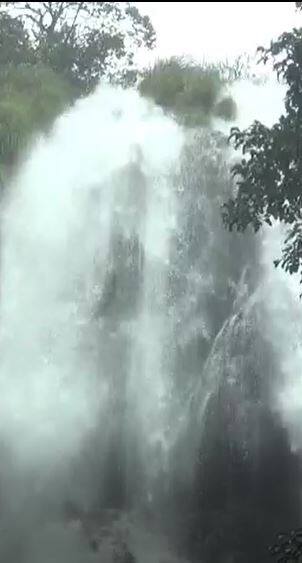 महाराष्ट्राची चेरापुंजी म्हणून ओळख असलेल्या अंबोलीत यावर्षी 3450 मिलीमीटर पाऊस