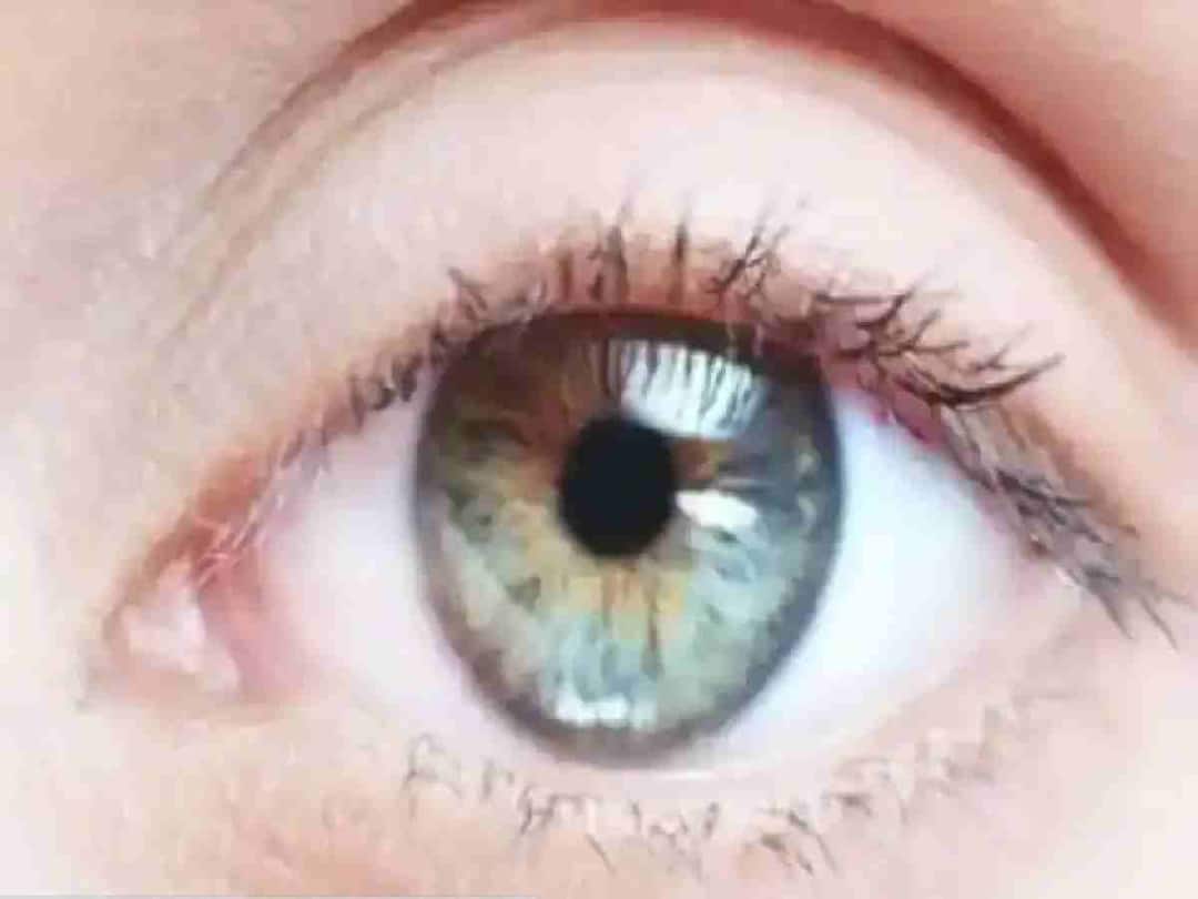 Retina Health : नजर कमकुवत होण्याला आजाराबरोबरच अनुवांशिकताही असू शकते जबाबदार! जाणून घ्या... Retina Health Along with disease, genetics can also be responsible for poor eyesight Retina Health : नजर कमकुवत होण्याला आजाराबरोबरच अनुवांशिकताही असू शकते जबाबदार! जाणून घ्या...